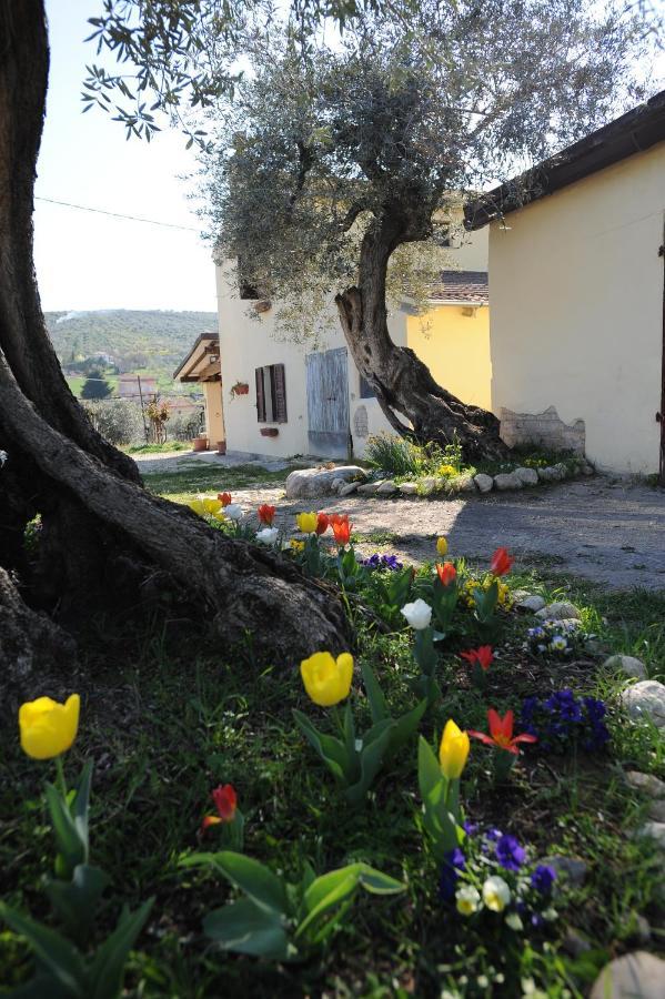 B&B Conca Del Pretore Loreto Aprutino Exterior foto